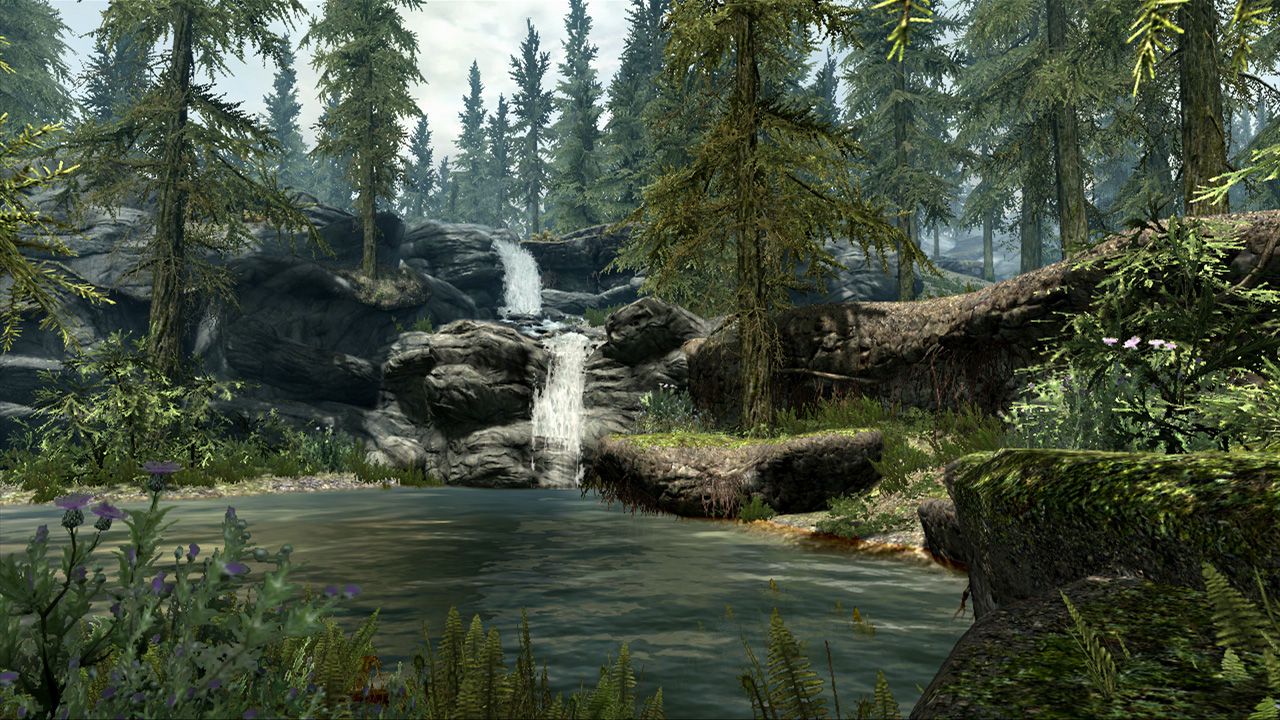 The Elder Scrolls V: Skyrim ekran görüntüsü 6