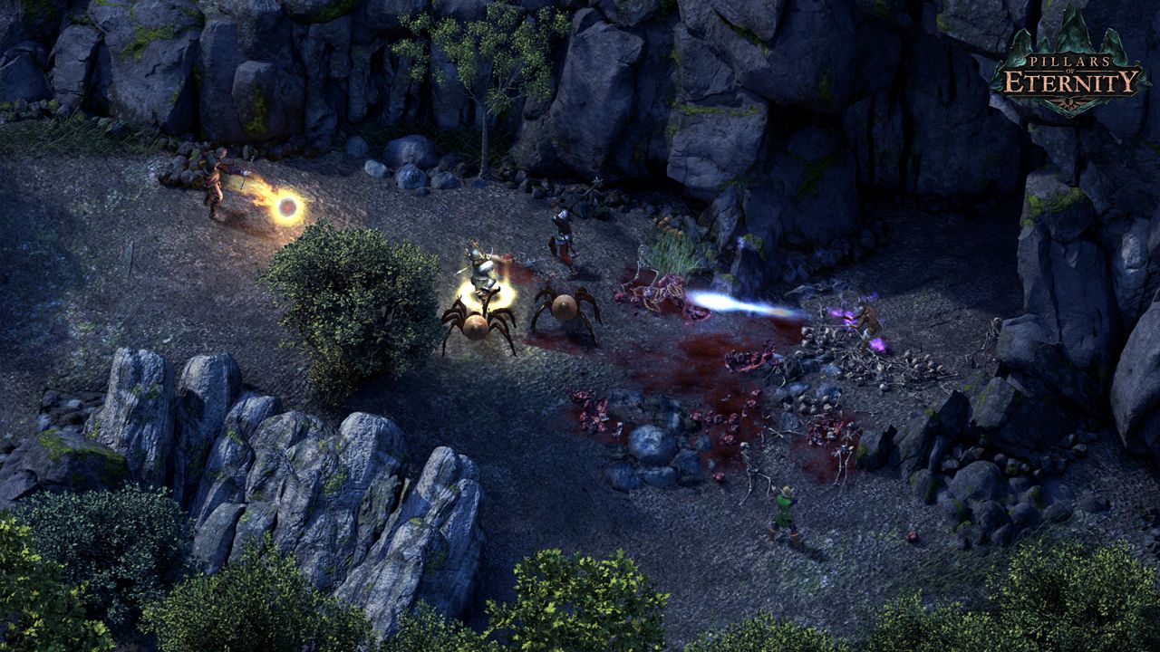 Pillars of Eternity ekran görüntüsü 3