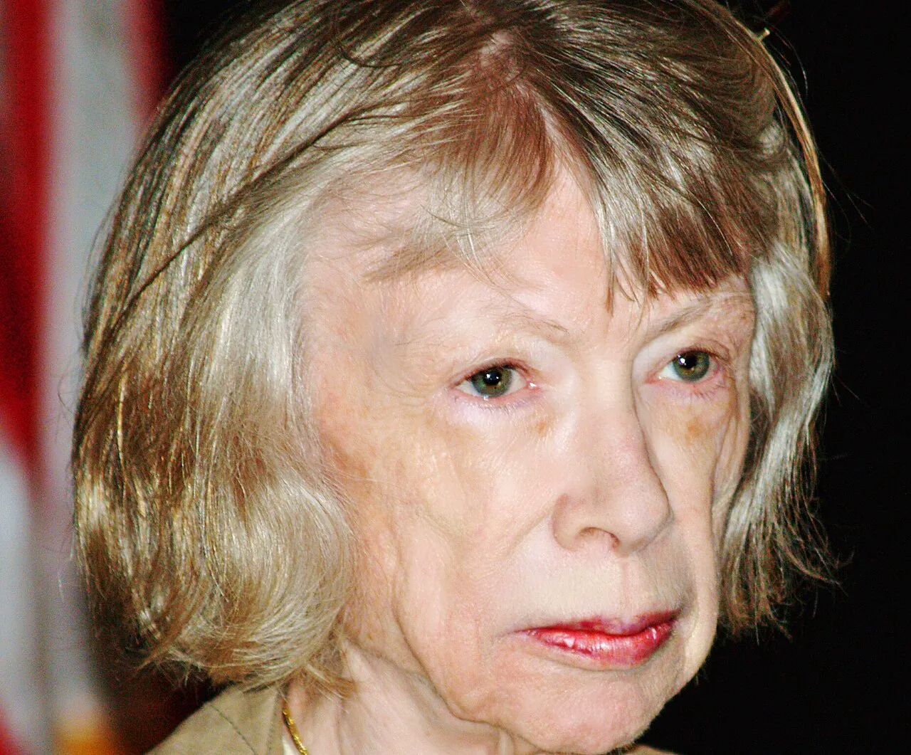 Joan Didion 2008'de Brooklyn Kitap Festivali'nde
