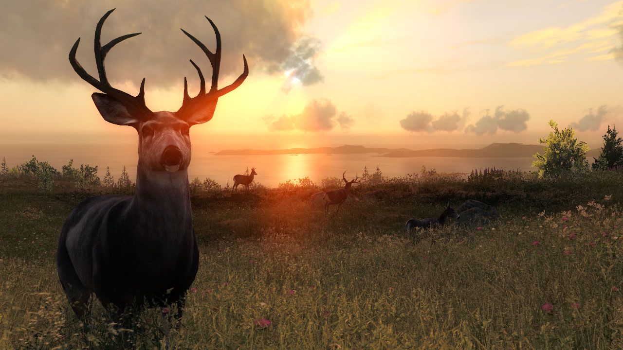 theHunter Classic ekran görüntüsü 2