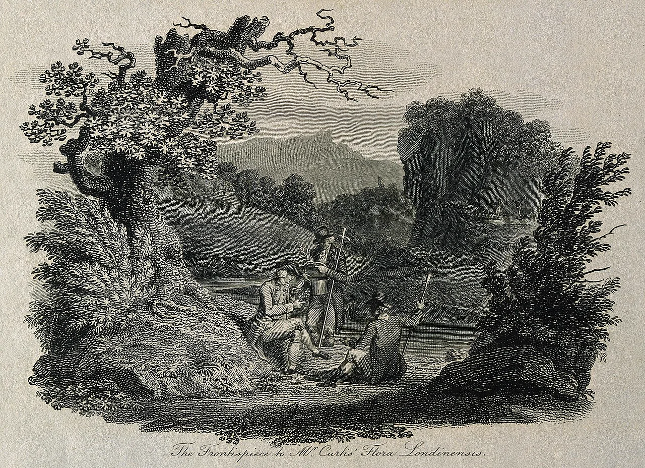 Flora Londinensis'in yazarı William Curtis, W. Evans'ın 1802 tarihli noktalama gravüründe