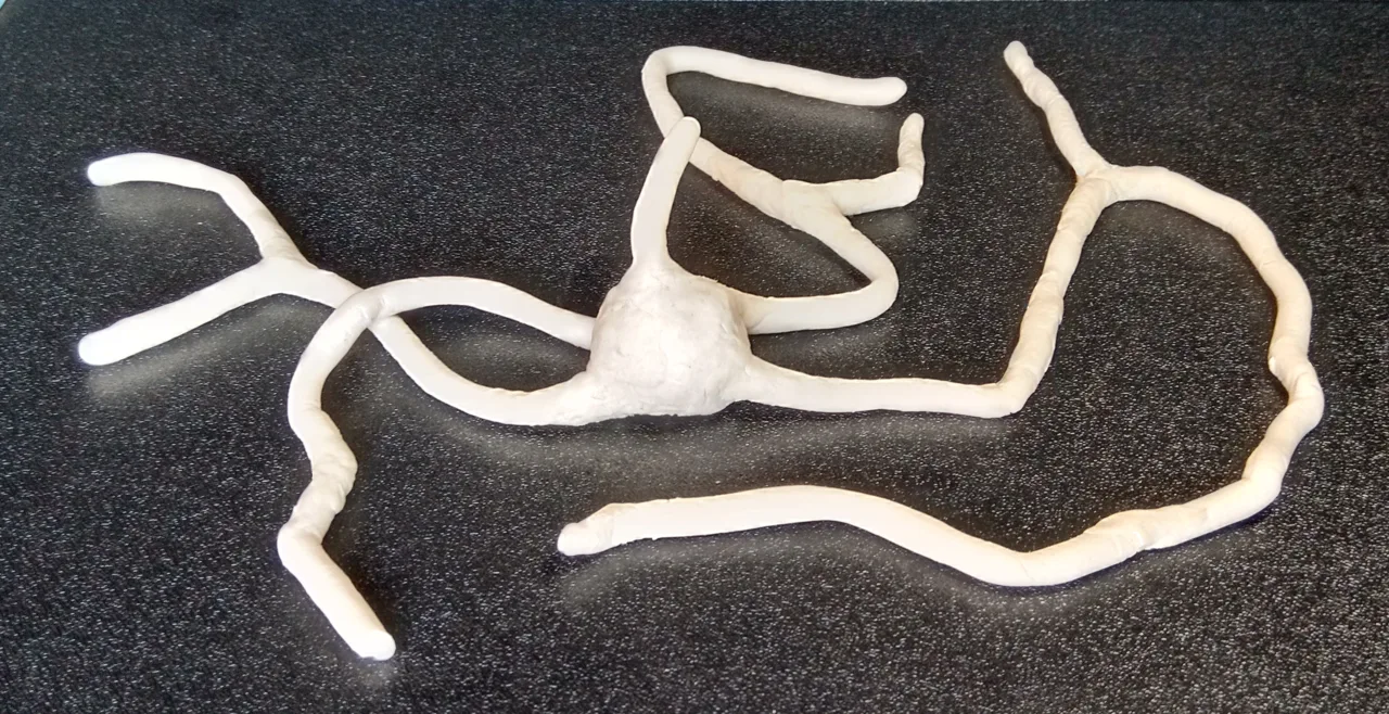 Promethearchaeum syntrophicum'un dallanmış uzantılarını gösteren model