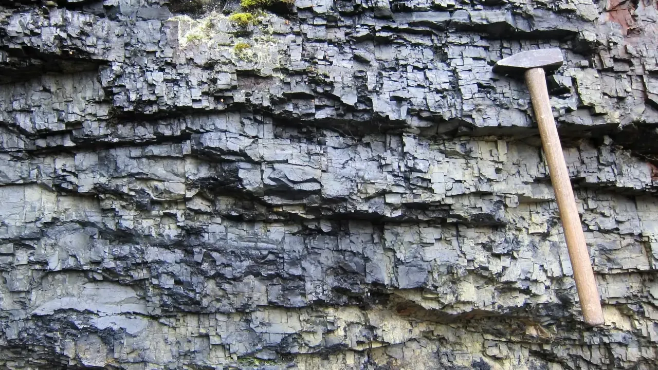 2 Milyar Yaşındaki Karbon İzotop Sinyali, Yerel Magma ve Metan Mikroorganizmalarıyla Açıklanabilir