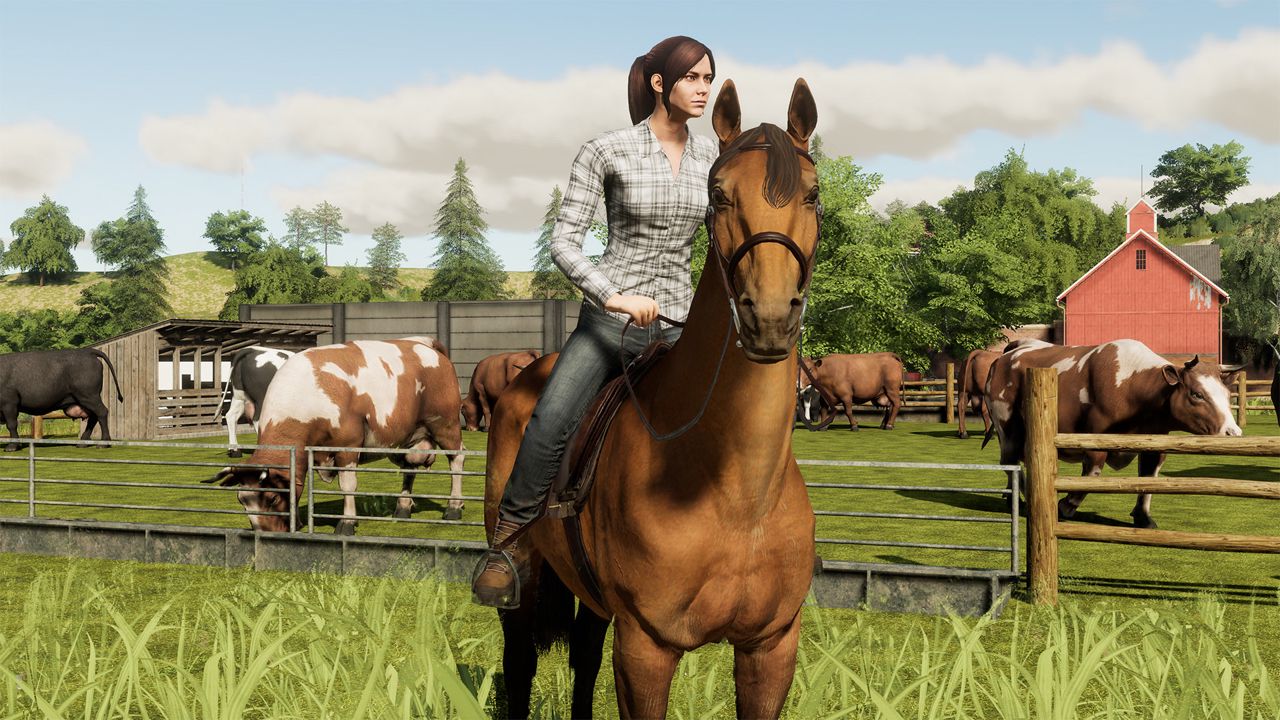 Farming Simulator 19 ekran görüntüsü 2