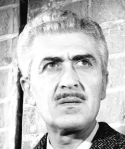 Süha Doğan